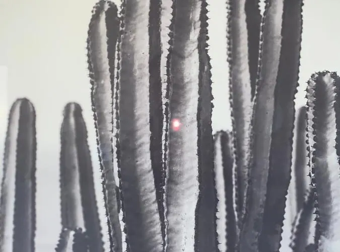 Appartement, Parking Gratuit, Sortie, Autoroute, La Meridienne